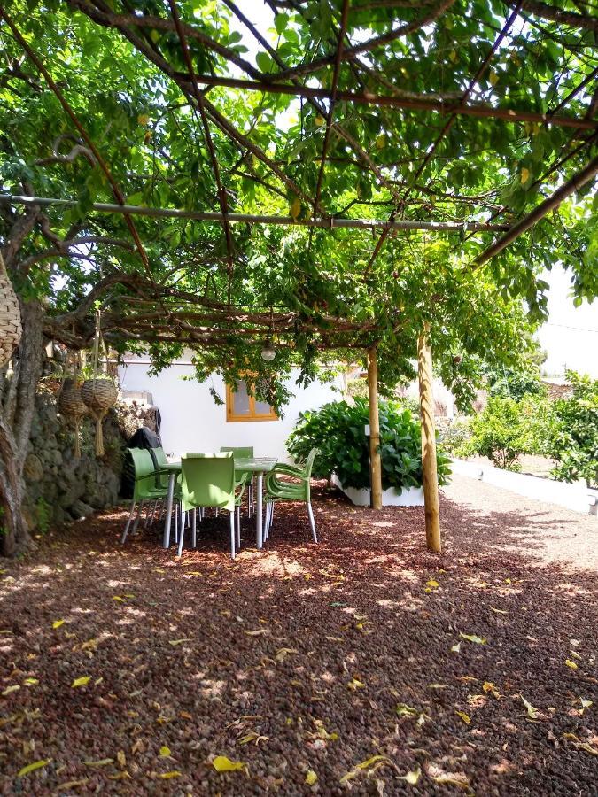 Los Huertos Conect With The Nature & Relax Icod De Los Vinos Esterno foto